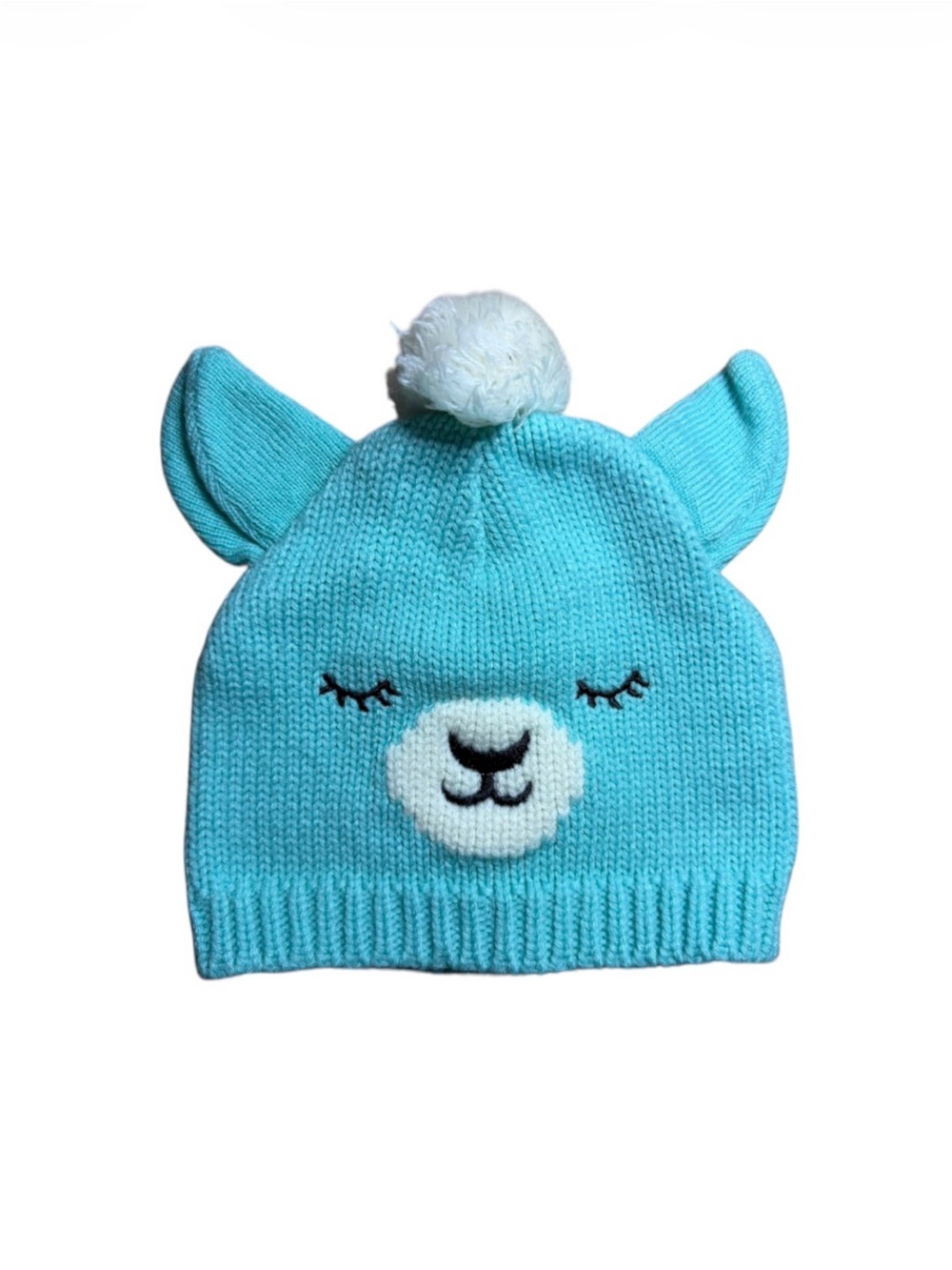 Cute Teal Blue Animal Pom-Pom Knit Beanie Hat